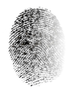 fingerprint